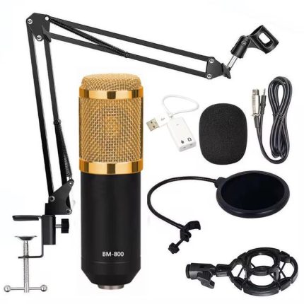 BM800 Mic